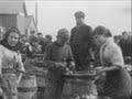 North Sea Fisheries, North Shields (1901)