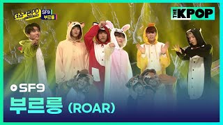 SF9, 부르릉 (에스에프나인, ROAR) [더쇼 팬PD 170515]