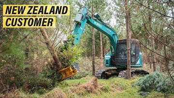 Pine Forest Thinning In New Zealand With 3 TMK 400