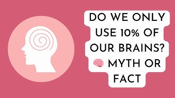 Do We Only Use 10% of Our Brains? 🧠 Myth or Fact