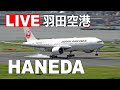[LIVE] 羽田空港 ライブカメラ (2月19日AM) - Haneda Airport Live on February 19, 2023