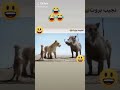 جالب ترین تیک تاک نجیب بروت میگه تو چیکاره استی جالب ترین تیک تاک نجیب بروت میگه تو چیکاره استی