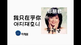 [중국노래] 한글가사/ 해석 /자막/병음 등려군(邓丽君)의 내겐 당신뿐(我只在乎你 아지재호니)