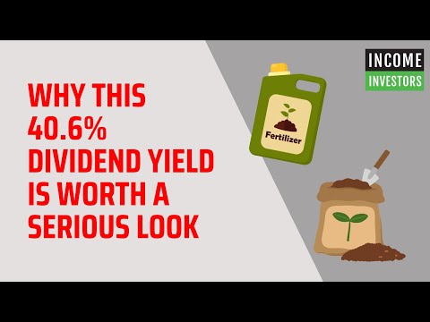 Why This 40.6% Dividend Yield Is Worth A Serious Look