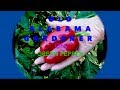 BELL PEPPER - SEED TO PLATE **SECRETS TO GROWING**  (OAG)