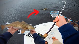 Fishing the blackwaters of Washington NC Blackwater SLAM 4 PB s
