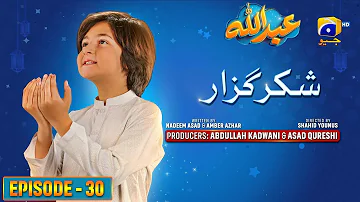 Abdullah Episode 30 | Shukar Guzaar - [Eng Sub] Haroon Shahid - Sumbul Iqbal | 21st April 2023