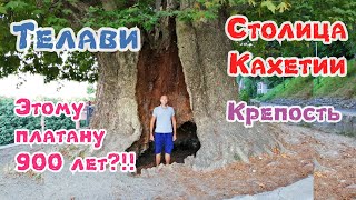 видео: Грузия. Кахетия. Телави. Крепость Царя Ираклия 2. Мы уезжаем....... Август 2019. картинка: Грузия. Кахетия. Телави. Крепость Царя Ираклия 2. Мы уезжаем....... Август 2019.
