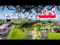 Story | Fraud | Hindi | Urdu | Story Time