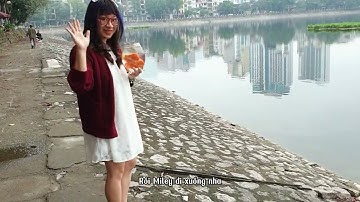 Tết 2023 | Thả cá Ông Công Ông Táo 23 tháng Chạp 2022 🐳