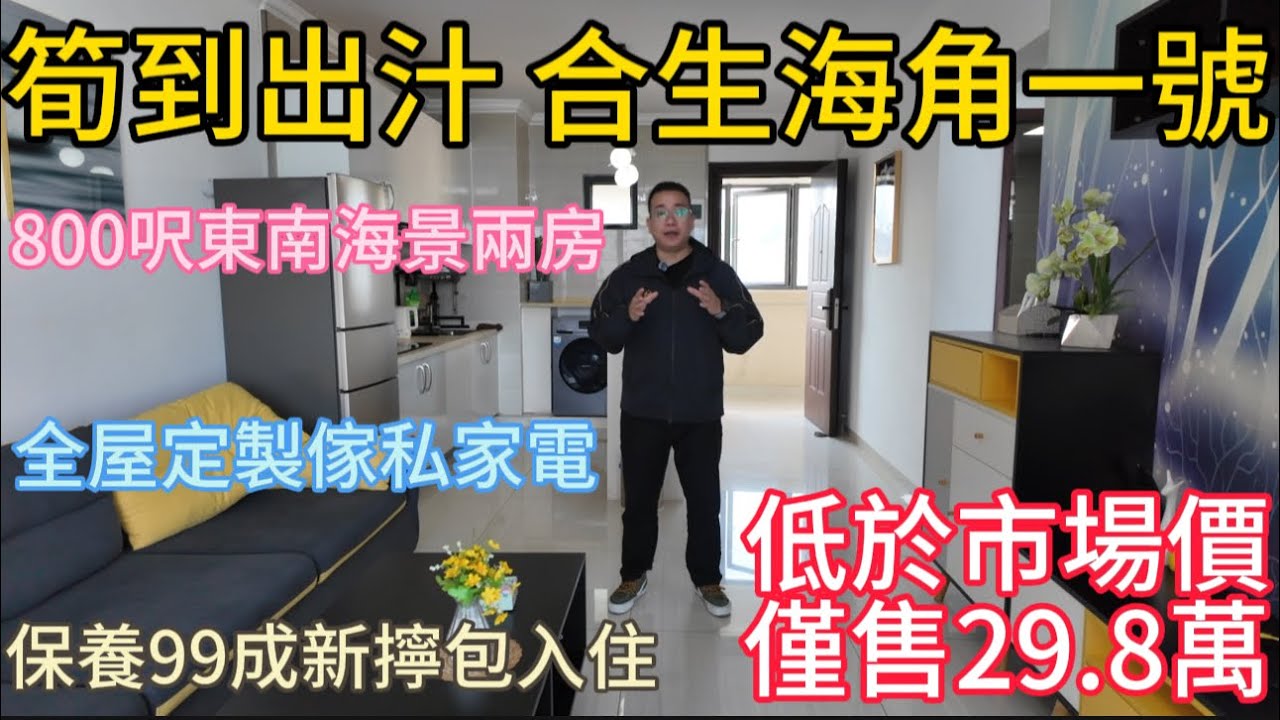 29.8萬買筍到出汁的無敵海景兩房!80平方米全屋定製傢私電!保養99新拎包入住! - YouTube