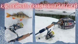 Как поймать Окуня Ранней весной. Оснастка решает.