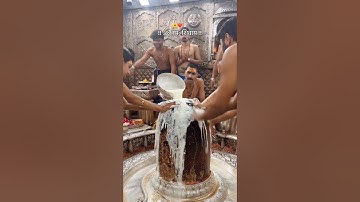 Mahadev status ❣️ bholenath status video 💫 shiv status #shorts