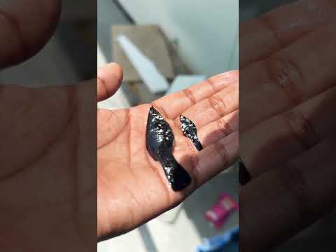 Black molly fish #aquarium #shortvideo mollyfish #baby fish #fish 🐠🐠