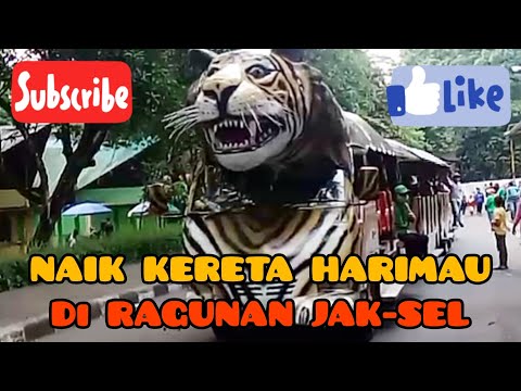 NAIK KERETA HARIMAU DI RAGUNAN | WISATA MURAH MERIAH | WISATA JAKARTA | AURORA&MAMA #holidayseason