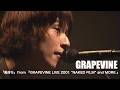 「風待ち」from『GRAPEVINE LIVE 2001 &ldquo;NAKED FILM&rdquo; and MORE 』