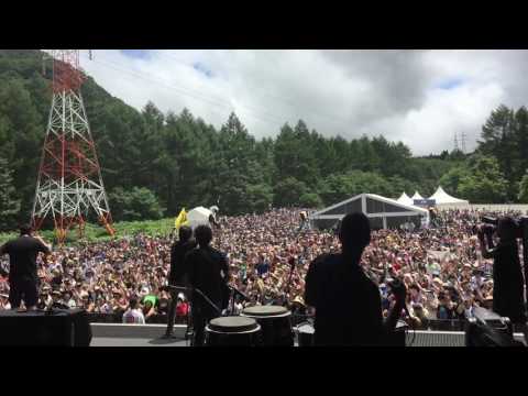 La Gossa Sorda - Fuji Rock Festival 2016