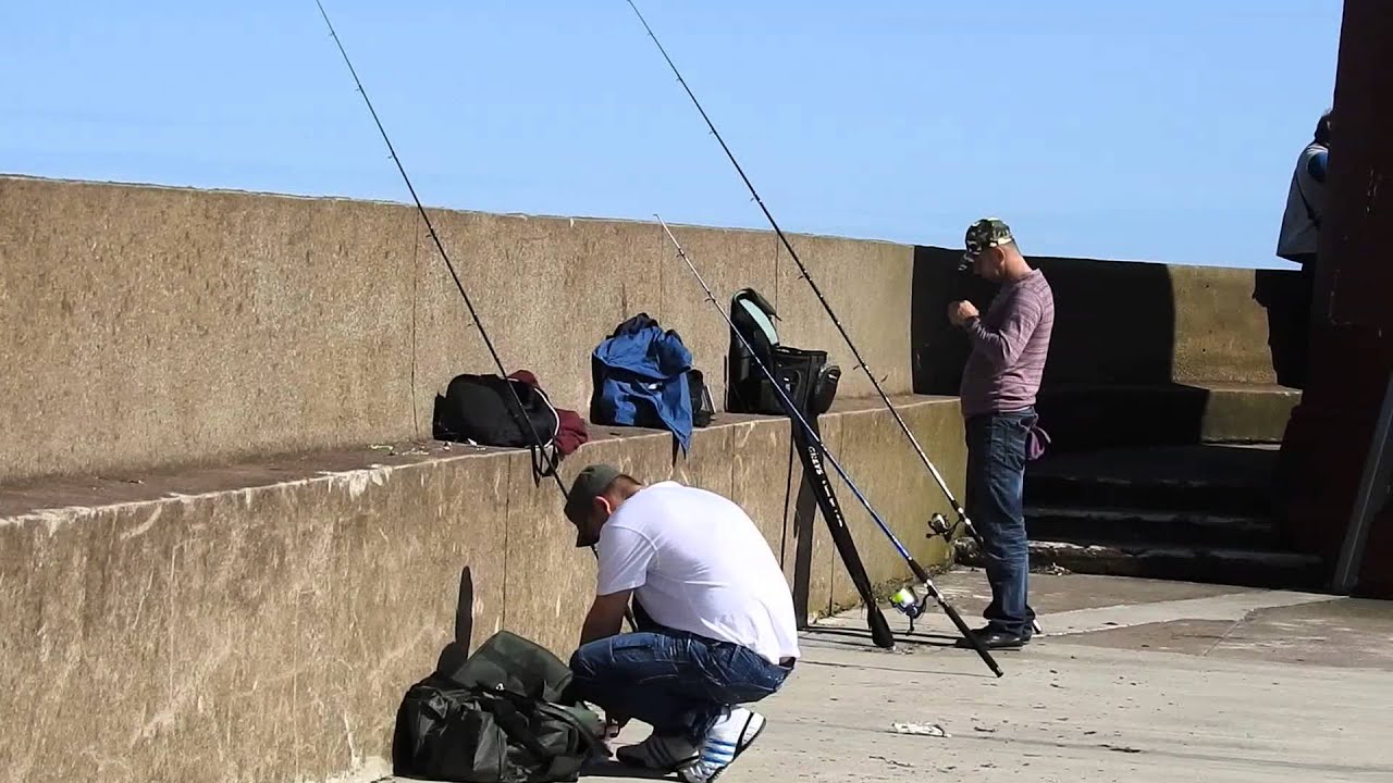 sea fishing trips berwick upon tweed