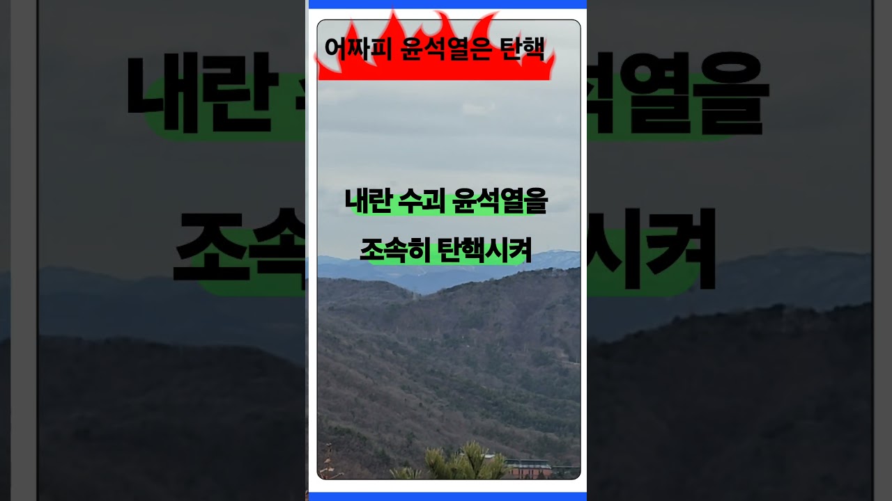 어짜피 내란수괴는 탄핵