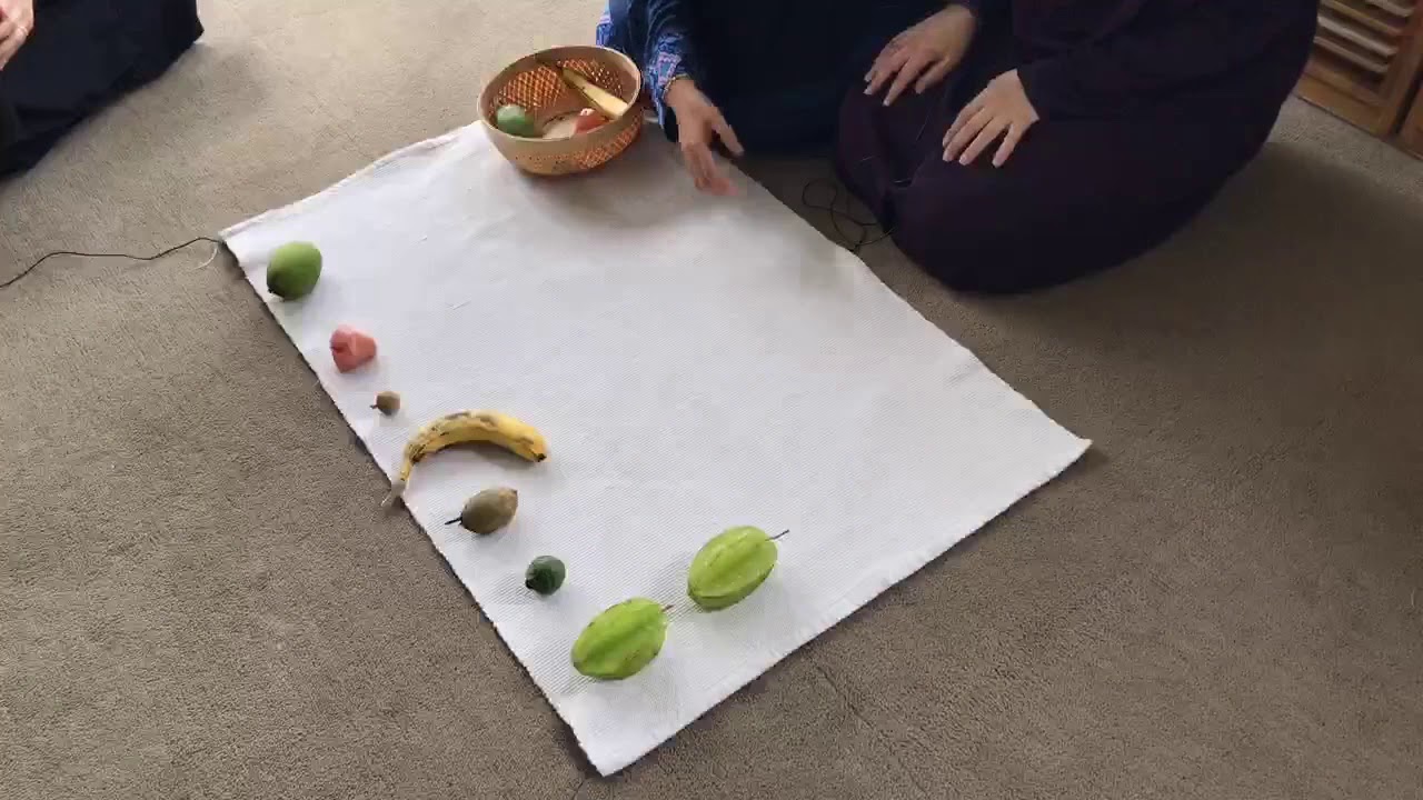 2. Montessori Cultural - Pairing Objects - YouTube