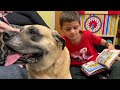 Therapy dogs helping kids in New Jersey become more confident readers