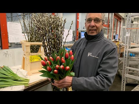 Blossom week at Hilverda De Boer