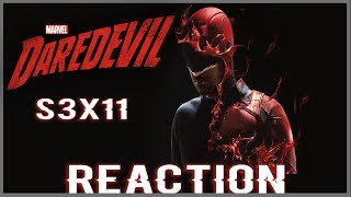 DAREDEVIL  3X11 [REACTION]