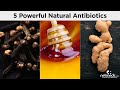 5 Best Natural Antibiotics #Shorts