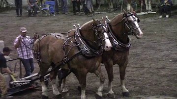 Pourquoi Dit-on chevaux de trait ?