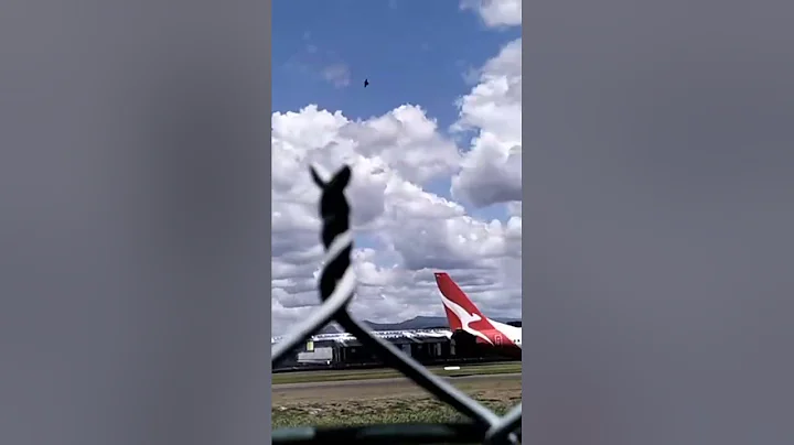 ✨LIVE✨Side RWY14 Yak52 Qantas Virgin Aus C172 Trainers #deanosaviation25 #deanosaviation25live #ybcg