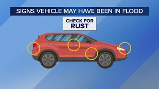 3 On Your Side warns about flood damaged vehicles
