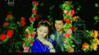 Zabi Estalefi & Feroza - ذبیح استالفی & فیروزه