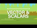 Vectors Versus Scalars: Clarifying Physical Quantities Through Real-World Applications