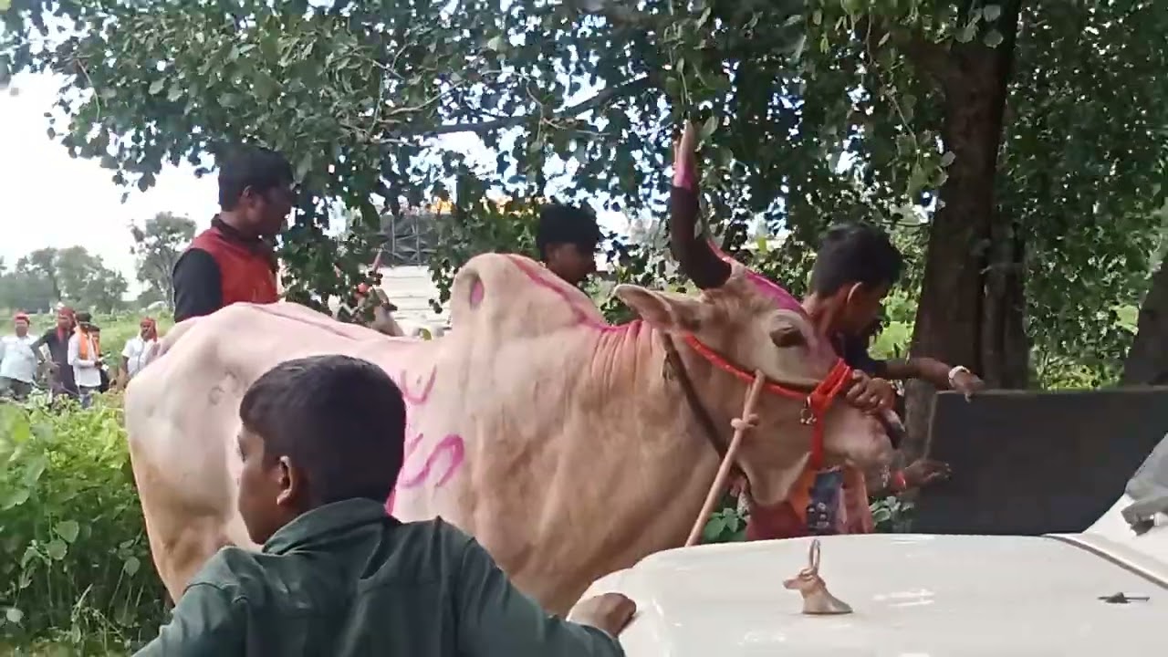 बकासुर गट पास 