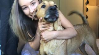 Q&A Get To Know Nicky Gile