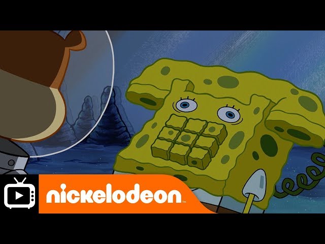 zoinks - Spongebob In My Mouth MP3 Download & Lyrics