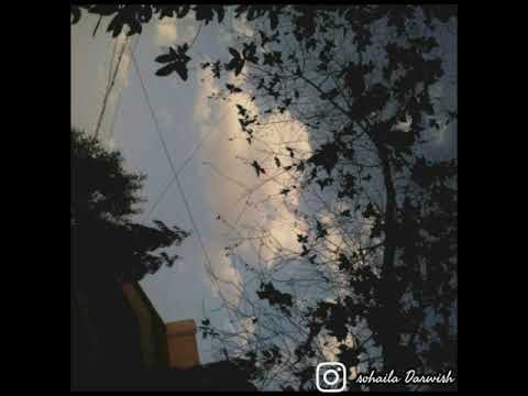 انا شوفتك قلبي سلم حالات واتس
