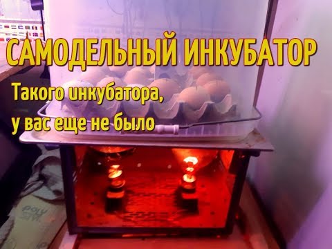 Инкубатор своими руками. Такого инкубатора у вас еще не было. Самодельный инкубатор.