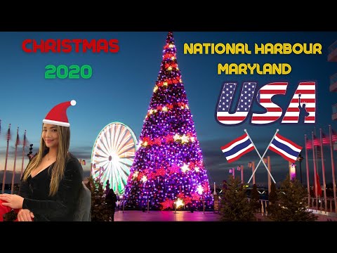 วีดีโอ: ไปต้นคริสต์มาสที่ไหนดี