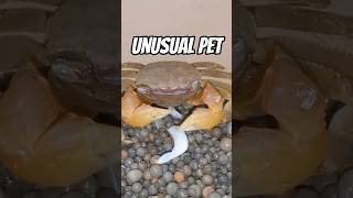 You Are Impressed By This