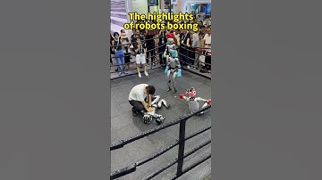 The highlights of robots boxing at WAIC #unitree #robot #robotadventure #humanrobotinteraction