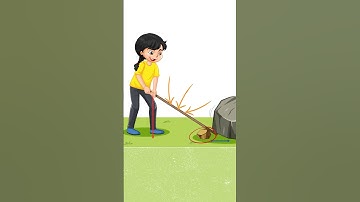 What is a lever? #simplemachine #lever #education #science #physics #study #students #teacher #cbse