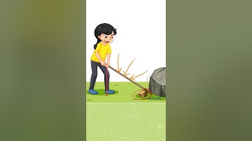 What is a lever? #simplemachine #lever #education #science #physics #study #students #teacher #cbse