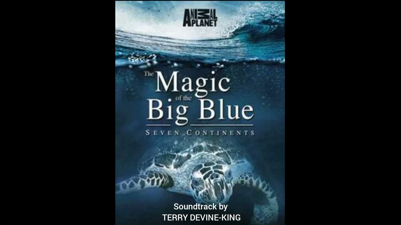 Sardine run theme from «The Magic of the Big Blue». Музыка хода сардин из «Чудес Голубой планеты».