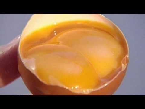 Видео: Можно ли есть яйца с двойным желтком?