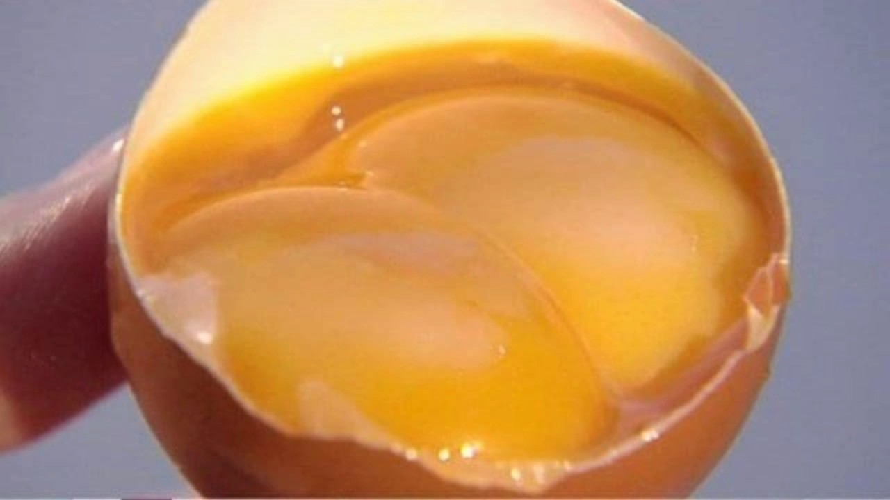 Два желтка примета. Двухжелтковое яйцо. Яйцо с двумя желтками. Яйцо с 2 желтками примета. Цыплята из двухжелткового яйца.