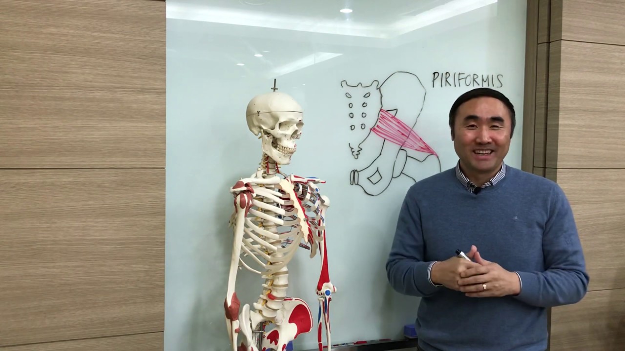 [홍정기교수의 고급기능해부학] 이상근과 허리통증