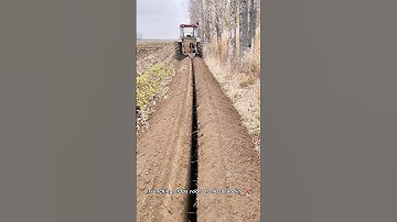 Cutting Tree Roots to Save the Crops ✅