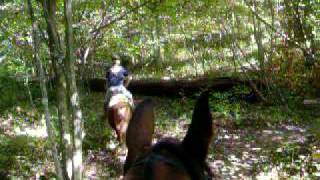 Flicka Crosscountry!