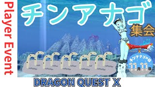 【ドラクエ１０】チンアナゴ集会o(^▽^)o　DQ10　DQX　ドラゴンクエスト１０